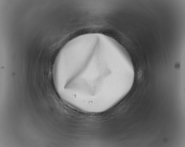 X0000113001204200909171358