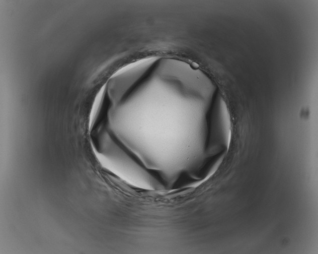 X0000113001206200909171358