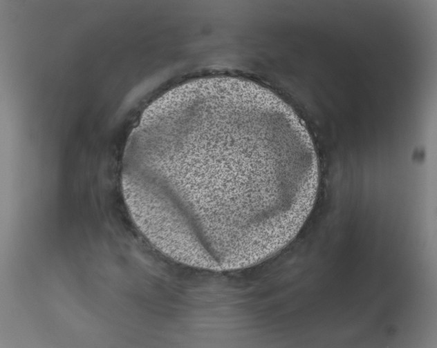 X0000113001207200909171358