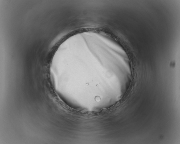 X0000113001208200909171358