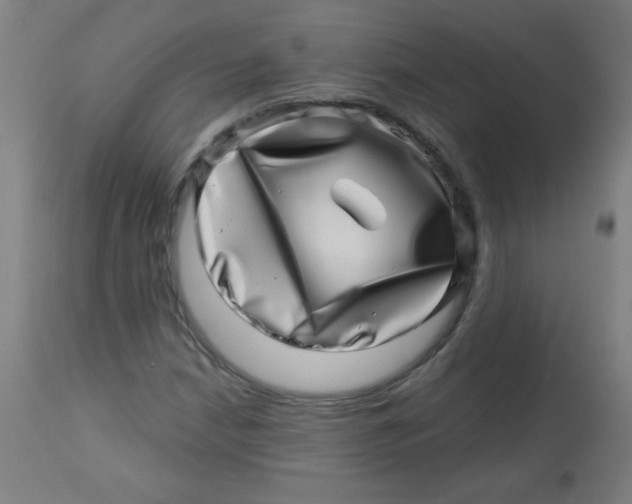 X0000113001210200909171358