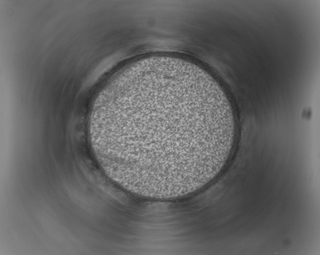 X0000113001211200909171358