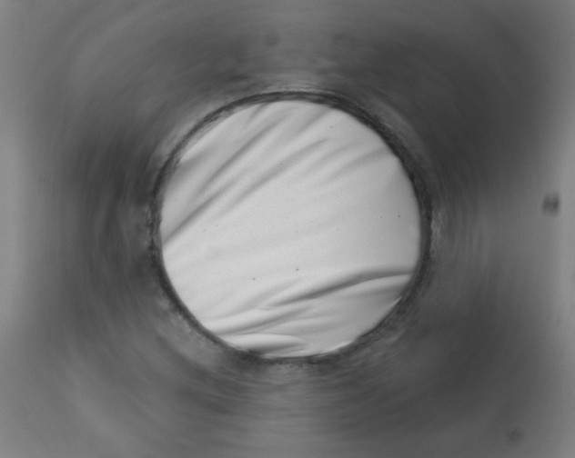 X0000113001212200909171358