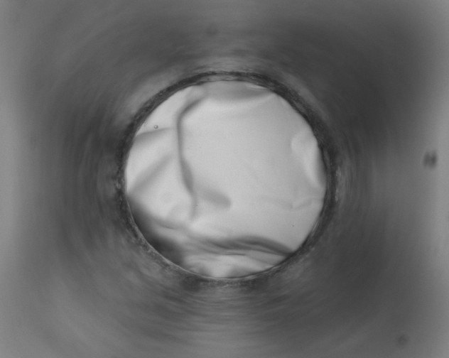 X0000113001213200909171358