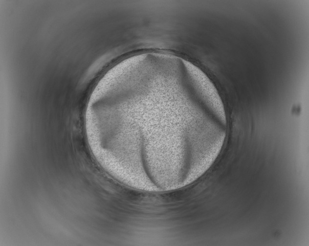 X0000113001215200909171358