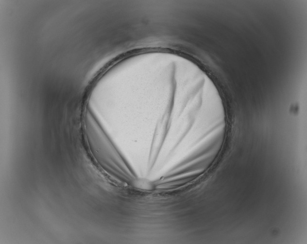 X0000113001216200909171358