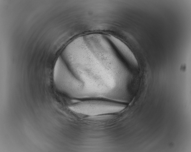 X0000113001217200909171358