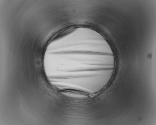 X0000113001218200909171358