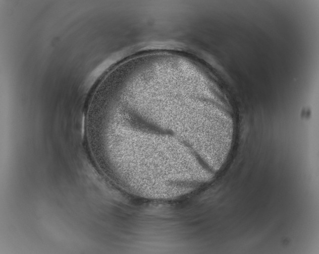 X0000113001221200909171358