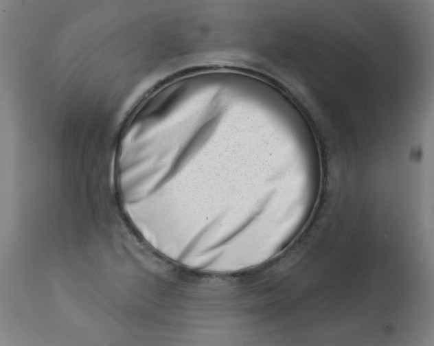 X0000113001224200909171358