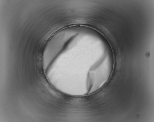 X0000113001225200909171358