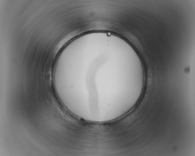 X0000113001226200909171358