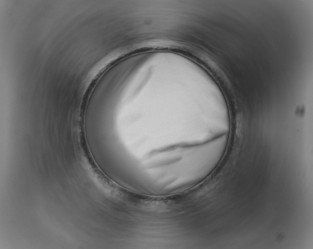 X0000113001229200909171358