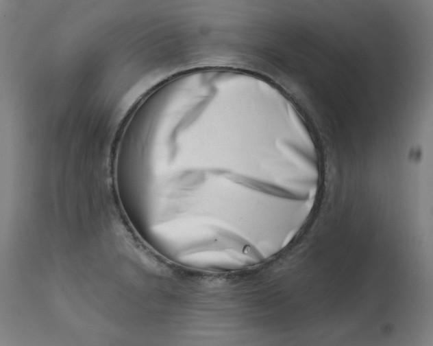 X0000113001230200909171358