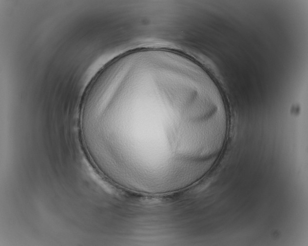 X0000113001231200909171358