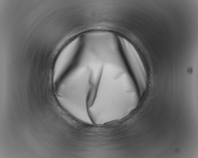 X0000113001232200909171358