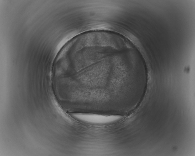 X0000113001234200909171358