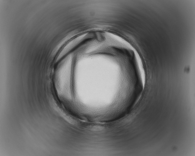 X0000113001235200909171358