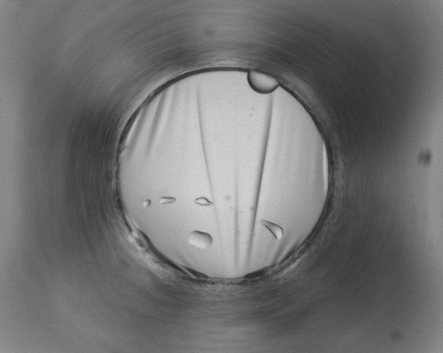 X0000113001236200909171358