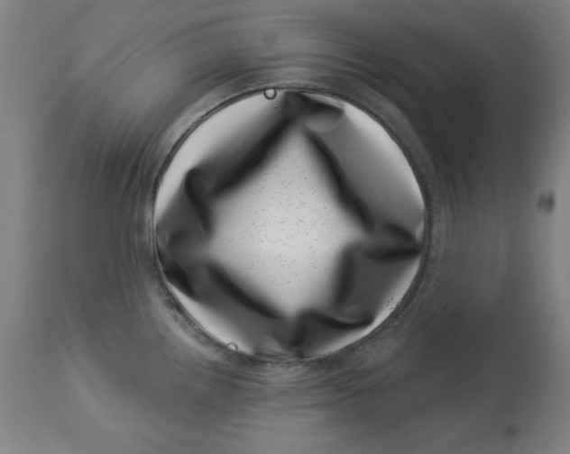 X0000113001242200909171358