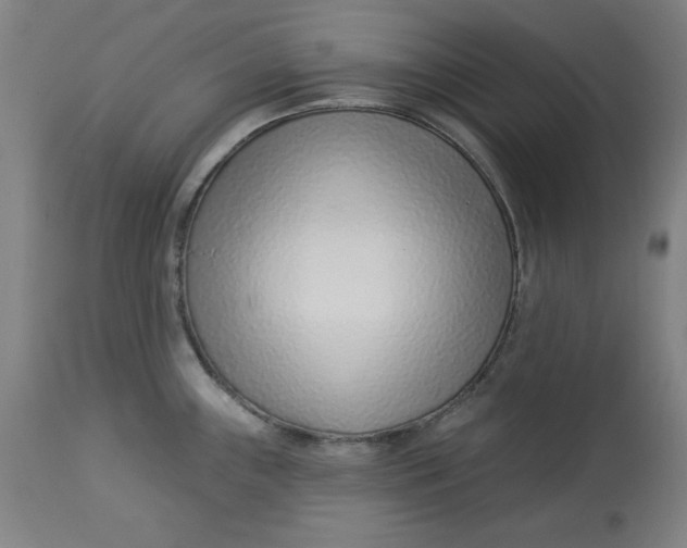 X0000113001243200909171358