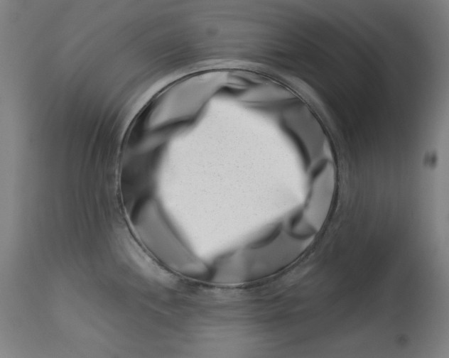 X0000113001244200909171358