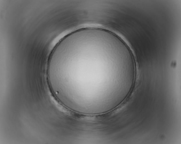 X0000113001245200909171358