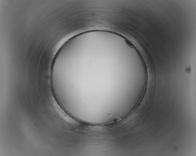 X0000113001246200909171358