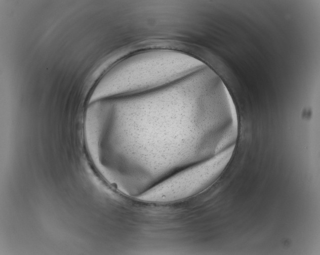 X0000113001247200909171358