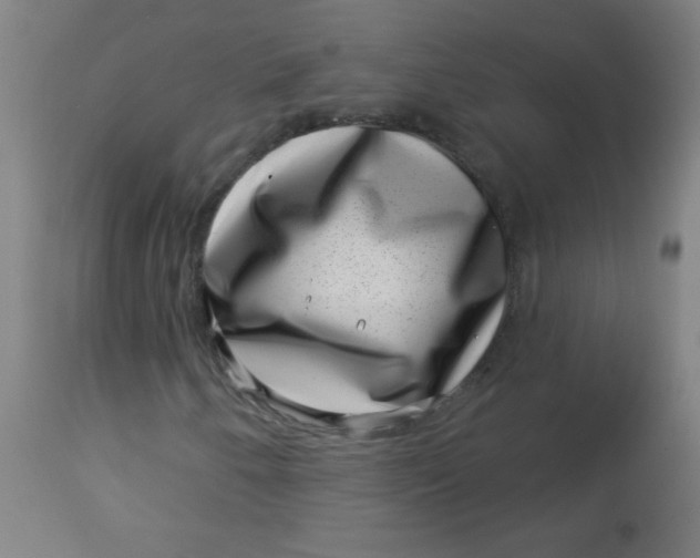 X0000113001250200909171358