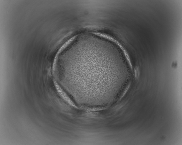 X0000113001251200909171358