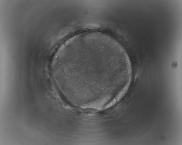 X0000113001253200909171358