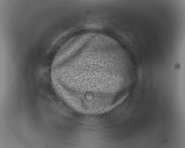 X0000113001254200909171358