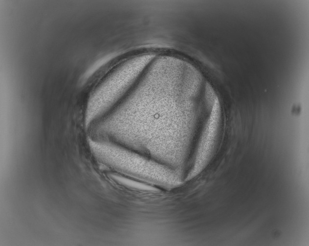 X0000113001255200909171358