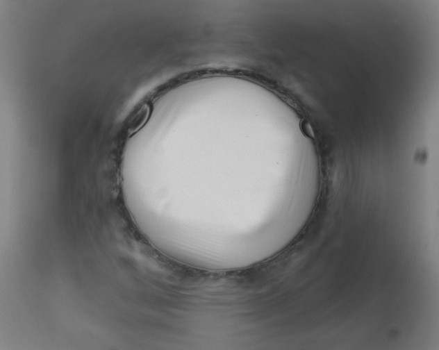 X0000113001256200909171358