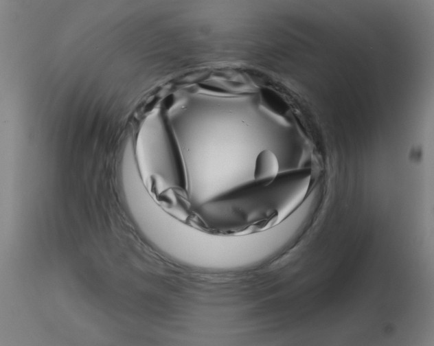 X0000113001257200909171358