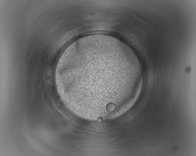 X0000113001258200909171358