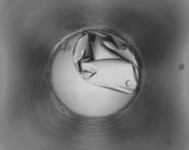 X0000113001260200909171358