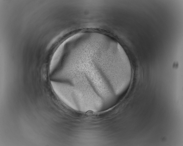 X0000113001262200909171358