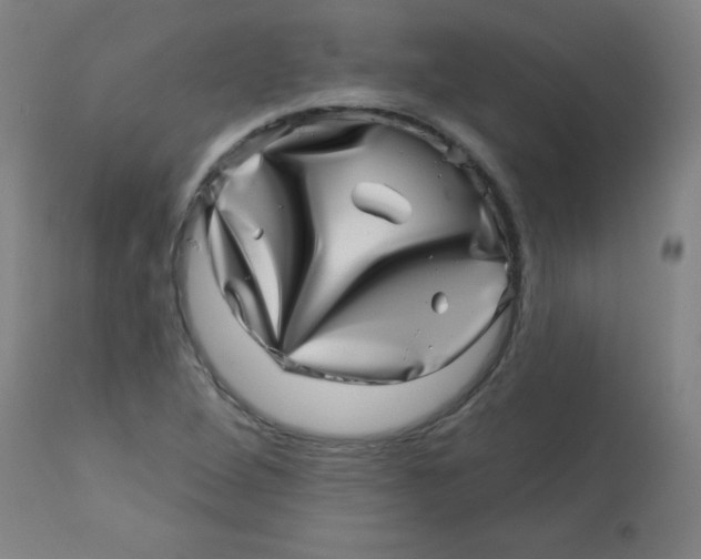 X0000113001264200909171357