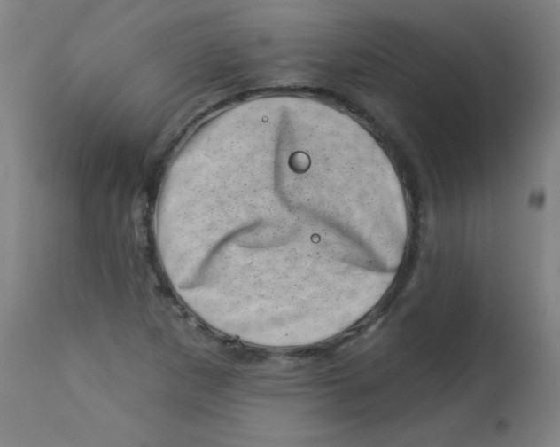 X0000113001265200909171357