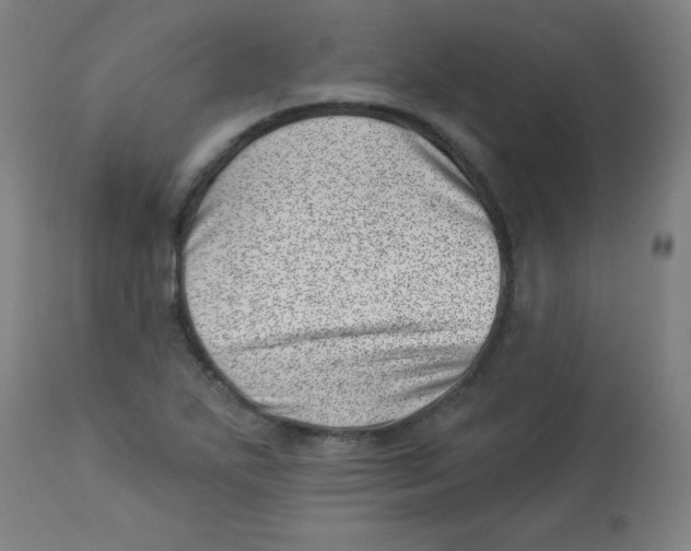 X0000113001271200909171357