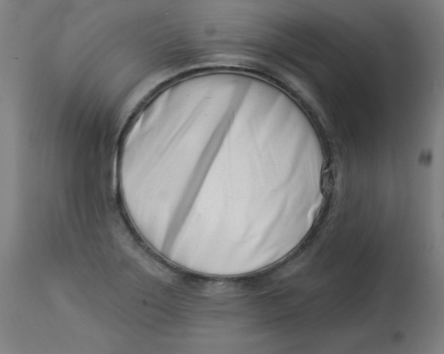 X0000113001275200909171357