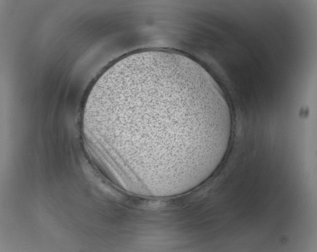 X0000113001278200909171357