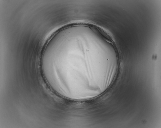 X0000113001279200909171357