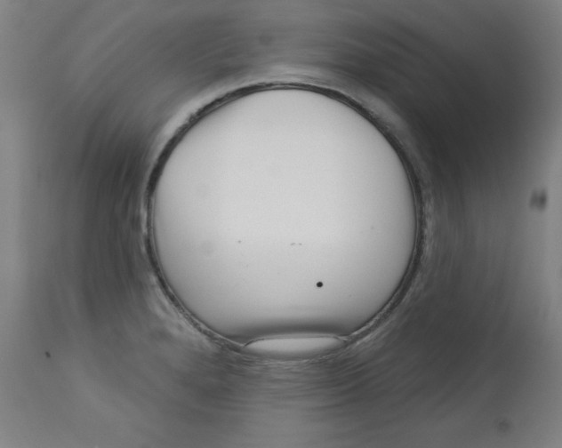 X0000113001280200909171357