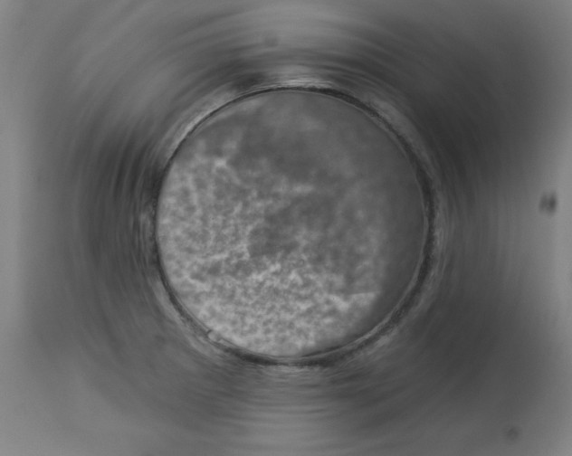 X0000113001281200909171357