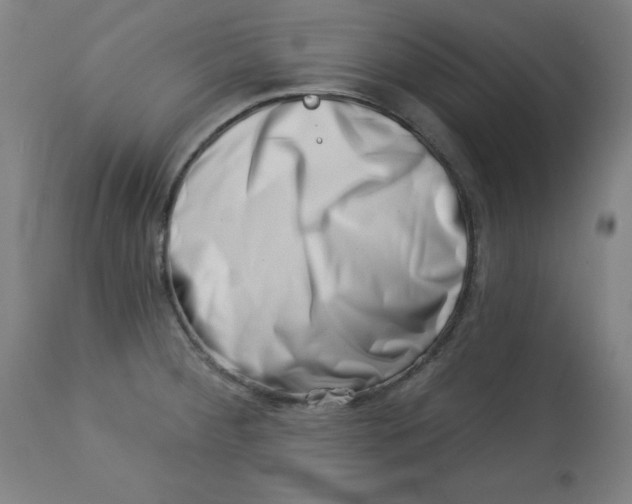 X0000113001284200909171357