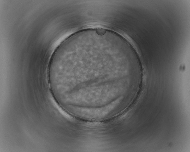 X0000113001285200909171357