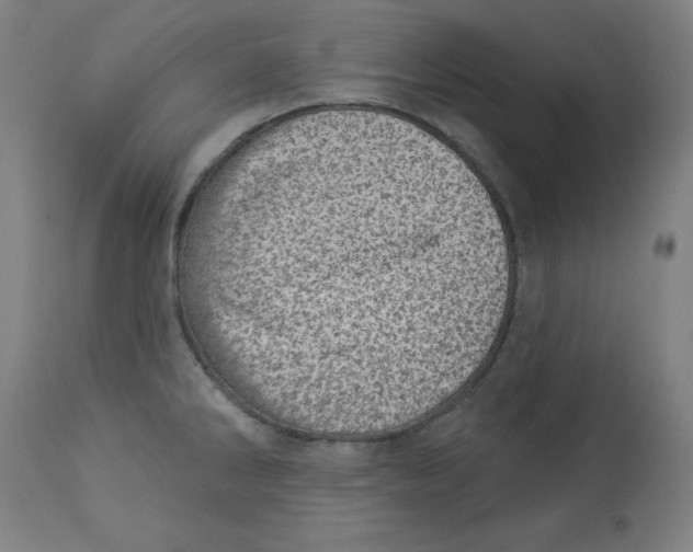 X0000113001286200909171357